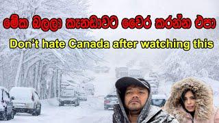 මේක බලලා කැනඩාවට වෛර කරන්නෙපා|Don’t hate Canada after watching this