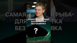 Самая простая рыба для заработка без головняка — это с... #узв #бизнес #бизнесидеи #разведениерыбы