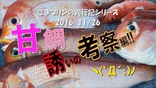 相模湾アマダイ誘い考察!!(16/11/26)