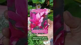 Напутствие Духов Природы на 11 июня 2025 от Марины Angelic #маринаangelic #подсказкаангелов