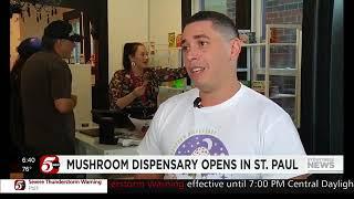 nothing but hemp, wonderland mushroom opens in st  paul as minnesota's first mushroom dispensary,