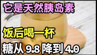 82岁老人血糖从9.8降到4.0！它是天然胰岛素，饭后一杯，血糖立马往下掉，从此告別糖尿病【本草养生大智慧】