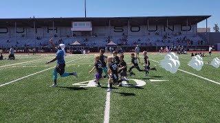 JONATHAN STEWART PROCAMP | The Handoff