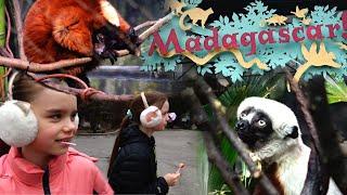 Павильон Мадагаскар в зоопарке Бронкса Нью Йорк