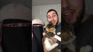 Does our cat eat halal?