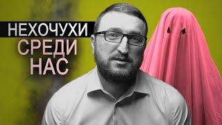 Взыскание алиментов/ Адвокат Потапенко / Одесса