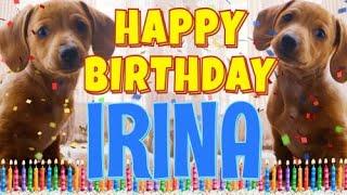 Happy Birthday Irina! ( Funny Talking Dogs ) What Is Free On My Birthday