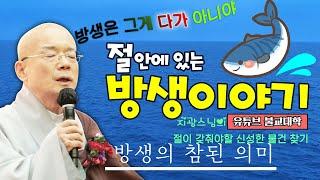 절 안에 있는 방생 이야기,방생은 그게 다가 아니야 「유튜브 불교대학」. 「YouTube 불교대학」