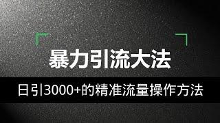 2022网赚，新手网上赚钱项目分享！日引3000+精准流量的操作方法。