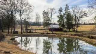 Madison Alabama Home for Sale | 28872 Powell Road | @Homes Realty Group