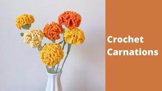 How to Crochet a Carnation Flower Bouquet  Crochet Flower Bouquet Tutorial