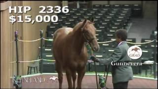 GUNNEVERA as a Keeneland September Yearling