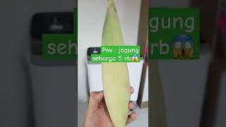 jagung saja juga mahal #jagungmahal #bojolondo #jowocreole