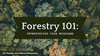 Forestry 101: Inventorying Your Woodland