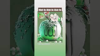 Allah Hu Allah Hu ️️#shortvideo #beautiful #viralvideo #music ️