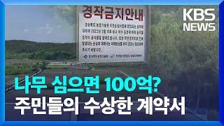 나무 심어서 100억 원 보상?…조경업자와 7:3 계약까지 / KBS  2023.05.17.