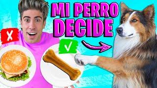 MI PERRO DECIDE MI DIA !! (24 HORAS) Ropa, Comida, Juegos y Más!!