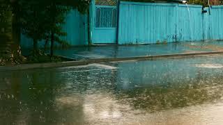 Rainy Atmosphere - Rainstormy Day -  Rain and thunder in the street