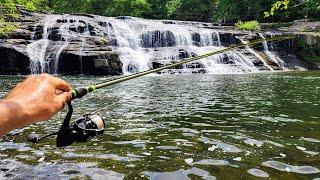 Fishing Below A 30 FOOT WATERFALL!! (New Species)