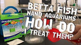 How to Medicate and treat Small Aquariums or Nano Aquariums