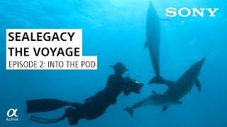 SeaLegacy The Voyage: Episode 2 Into The Pod | Shot on Sony