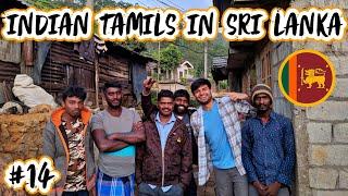 LIFE OF INDIAN TAMILS IN SRI LANKA - NUWARA ELIYA 