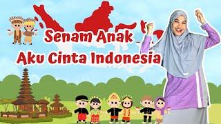 Senam Aku Cinta Indonesia | Seru Banget 