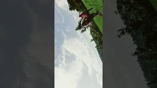 it's the real beauty of Nature || song hawayein (lofi song)