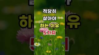 적당히 살아야 하는 이유 5가지   #명언#조언#좋은말#삶의지혜
