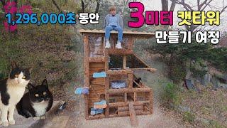 백수가 1,296,000초 동안 3미터 고양이빌딩 만들기(feat.홍구) / 3m cat tower made by jobless during 1,296,000 seconds