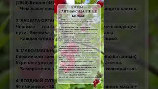 Ягоды - антиоксидантные бомбы!🫐#правильноепитание #полезныепродукты