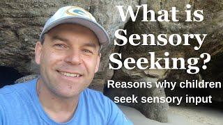 What is Sensory Seeking? Reasons Why Children Seek Sensory Input