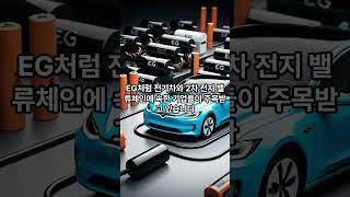 "‘머스크 사업 집중’ 테슬라 급등에 이차전지株 동반 강세 " 관련주?