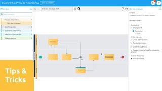 BlueDolphin Tips & Tricks: BPMN substitute official view