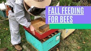 TTP Beeyard Sessions - Fall Feeding for Bees