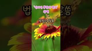법정스님말씀 인디언 추장의 편지.상편  #명언 #좋은글 #지혜