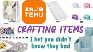 What amazing CRAFT ITEMS did I find at TEMU? Craft Haul 2024