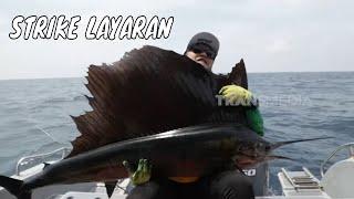 Battle Layaran di Negeri Jiran | MANCING MANIA STRIKE BACK (05/10/24) Part 1