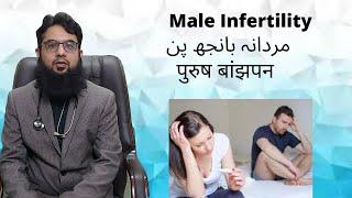 Male Infertility  /  مردانہ بانجھ پن  /  पुरुष बांझपन