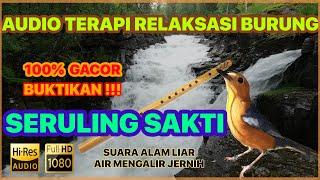  AUDIO TERAPI SERULING SAKTI ANIS MERAH + TERAPI AIR [PANCINGAN BURUNG ANIS MERAH BIAR NGEPLONG]