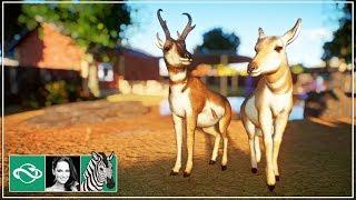  Let's build a zoo | Pronghorn | Let's play Planet Zoo Franchise Mode | BETA | Gameplay | #1