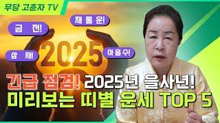 [#2025년 #띠별운세 #삼재]  *긴급점검!* 2025년 미리보는 띠별 운세 TOP 5! / 예약문의 010. 2338. 0388