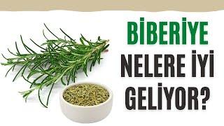 Biberiye Nelere İyi Geliyor? #ModernAktar #Biberiye