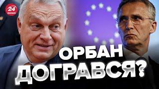 Україна в НАТО замість УГОРЩИНИ? / ЗАХІД прийняв ВАЖЛИВЕ рішення