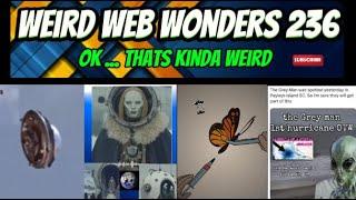 weird web wonders 236