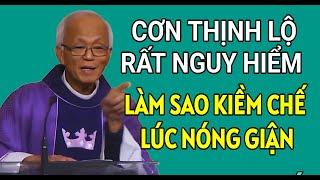 LÀM THẾ NÀO ĐỂ KIỀM CHẾ ĐƯỢC KHI NÓNG GIẬN | CHA PHẠM QUANG HỒNG THUYẾT GIẢNG