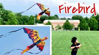 3D Firebird Kite from COSTCO | Supersized Nylon Kite - 74" Wingspan