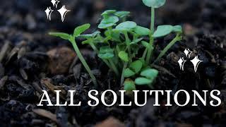 All Solutions with Shahid Live Stream