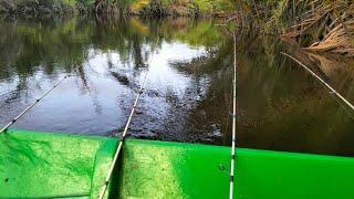 MEMANCING UDANG GALAH BARKARAT KELUAR DARI SARANGNYA DENGAN UMPAN SEGAR SAAT MUSIM HUJAN