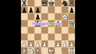 Чигорин - Шлецер. Латышский гамбит. Часть 1. Шахматы с Мариной.